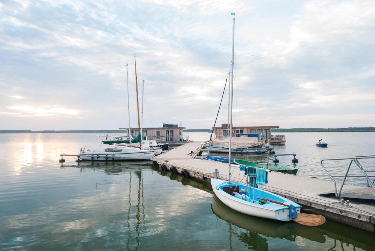Traumhaff Kuestenchalets - Einzigartige Chalets An Der Ostsee. Ganz Aus Laerchenholz Mit Kamin Und Sauna Vogelsang-Warsin Eksteriør billede