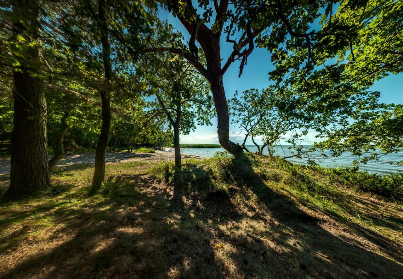 Traumhaff Kuestenchalets - Einzigartige Chalets An Der Ostsee. Ganz Aus Laerchenholz Mit Kamin Und Sauna Vogelsang-Warsin Eksteriør billede